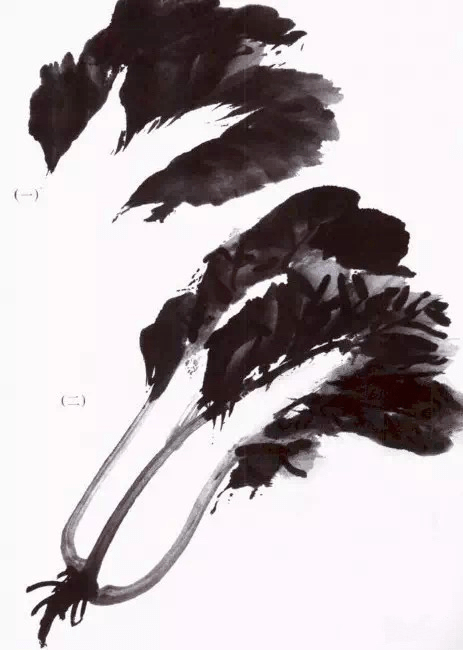 图文教程:简单明了蔬果写意画法
