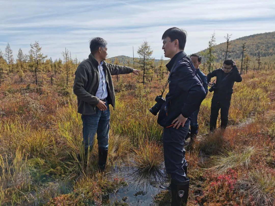 胡金贵局长向两位专家介绍泥炭藓--杜香--兴安落叶松林沼泽湿地 返回