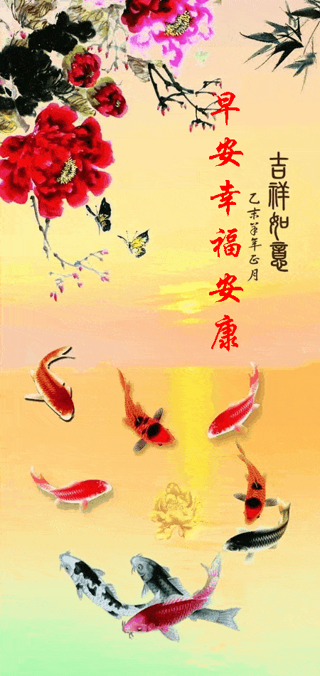 450_950竖版 竖屏gif 动态图 动图