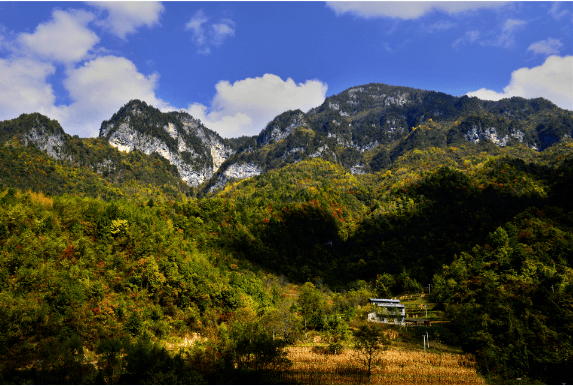 百村百变厚坪乡龙盘村乡村旅游异军突起开启群众致富大门