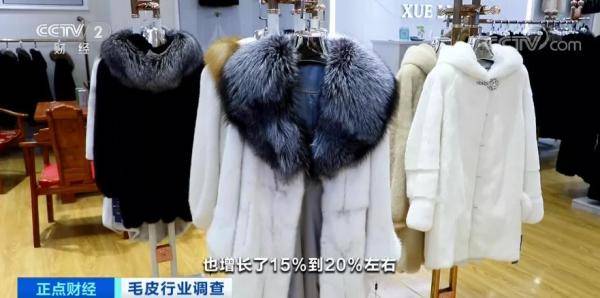 养殖户|曾经2万元一件的皮草如今7000 为啥卖不上价了？