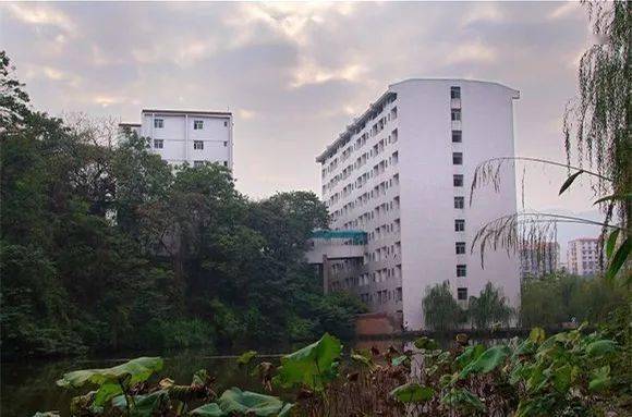 西南大学桃园居住攻略 西大魅历 09-13 09:00 订阅 点击查看更多