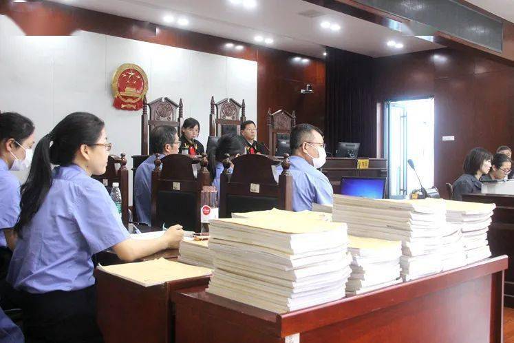 临邑法院公开审理10名被告人涉恶势力犯罪集团案件!