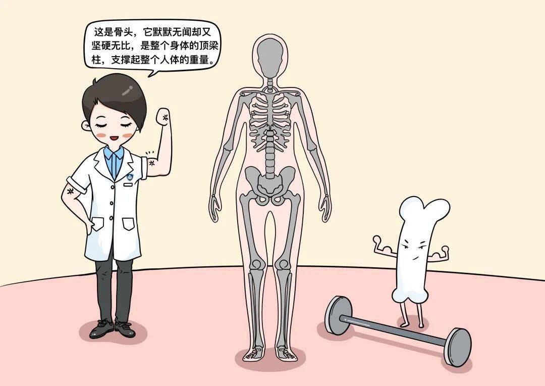 日历|【健康辟谣日历】患有“肾结石”，不能补钙，否则，会加重肾结石？