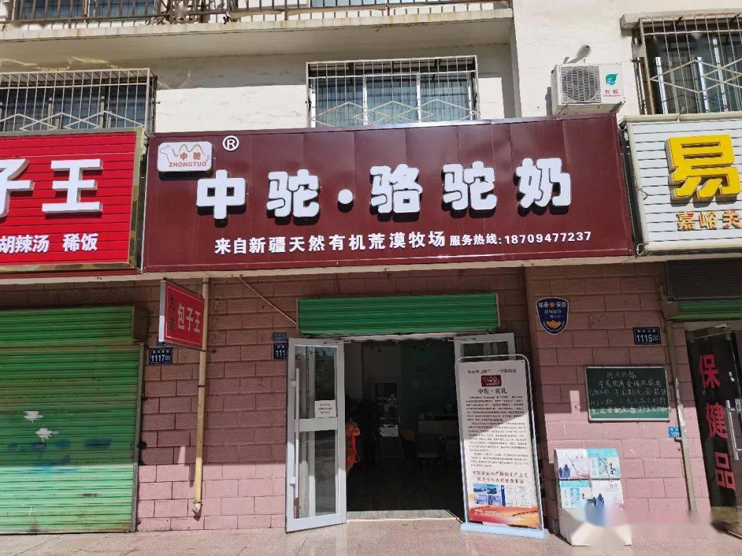 好产品好福利给嘉峪关人喝点好的中驼骆驼奶乳品中的贵族