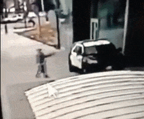 特朗普怒了：畜生！