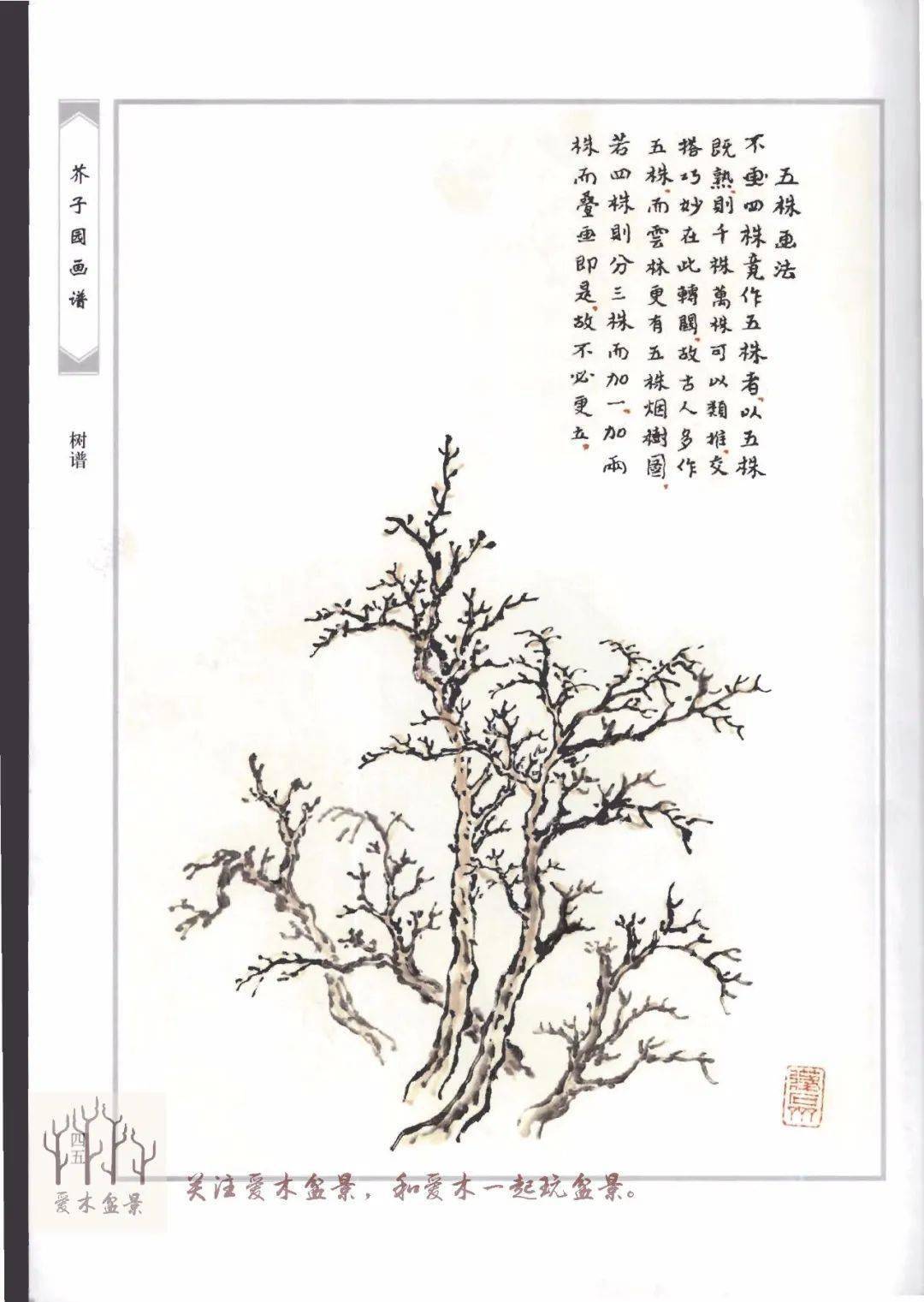 《芥子园画谱-树谱》分享2,枝爪和根爪画法