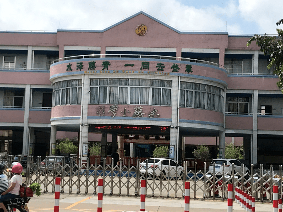 图说顺德乐从水藤村