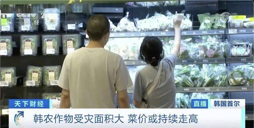 白菜|韩国两伙盗贼在同一块地里偷菜 咋回事儿？
