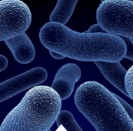 贫民窟|杨幂熬夜后护肤要花2万块？怪不得皮肤吹弹可破！贫民窟女孩就不配消除熬夜痘、黑眼圈吗？