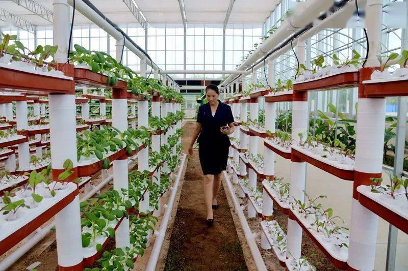 2020各国科研投入占g_科研顺利图片动漫