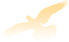 【ky开元】
『笃实中环』中环学院承办开展2020年天津市青工职业技术大赛盘算机网络治理员大赛(图3) 【ky开元】
『笃实中环』中环学院承办开展2020年天津市青工职业技术大赛盘算机网络治理员大赛(图3)