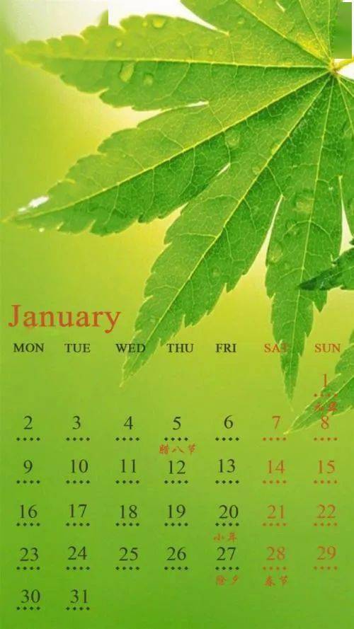 新加坡生活 | 手机屏保,就能看出你的性格,很准哦