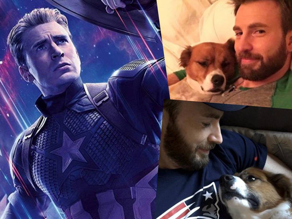 美队chris evans 误登下体照!粉丝「救驾」用狗狗照洗