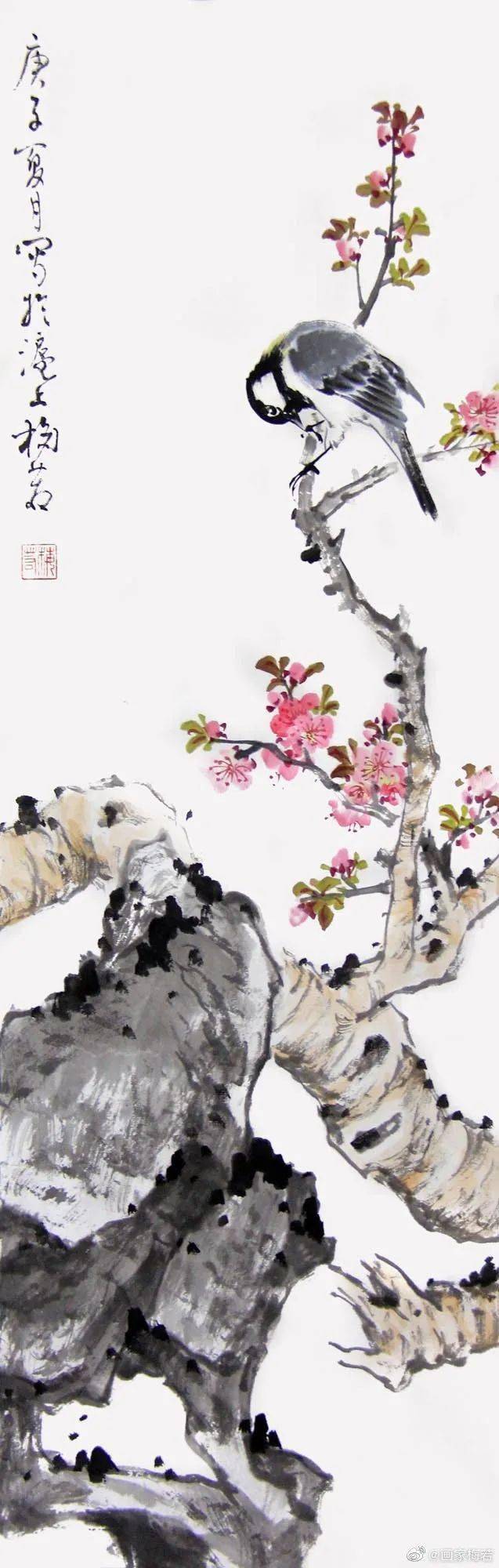 梅若老师画鸟真灵动