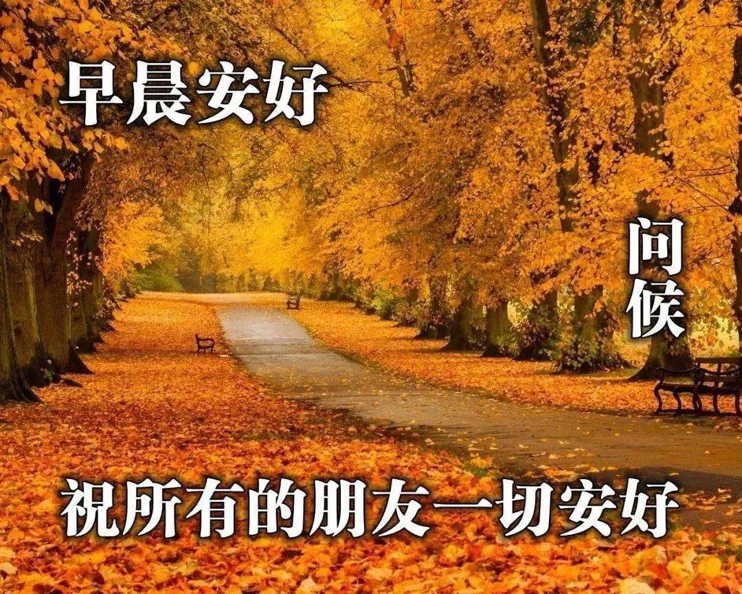 7张适合发秋季的早上好动画图片精选 秋天早上好关心祝福语