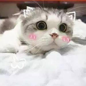 肌肤|又一明星夫妇宣布离婚!多少婚姻毁于这一点!