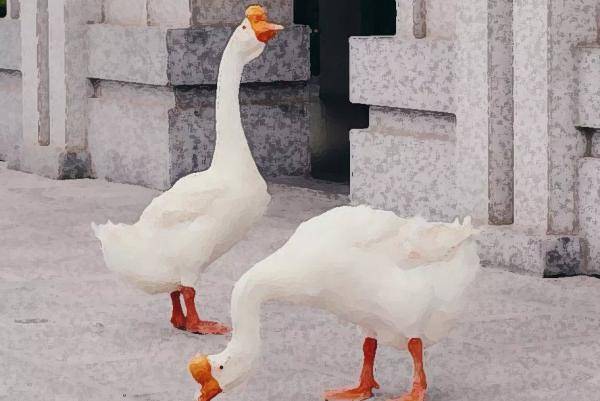 厦大|解锁厦大开学惊喜！快来点开你的定制“盲盒”！