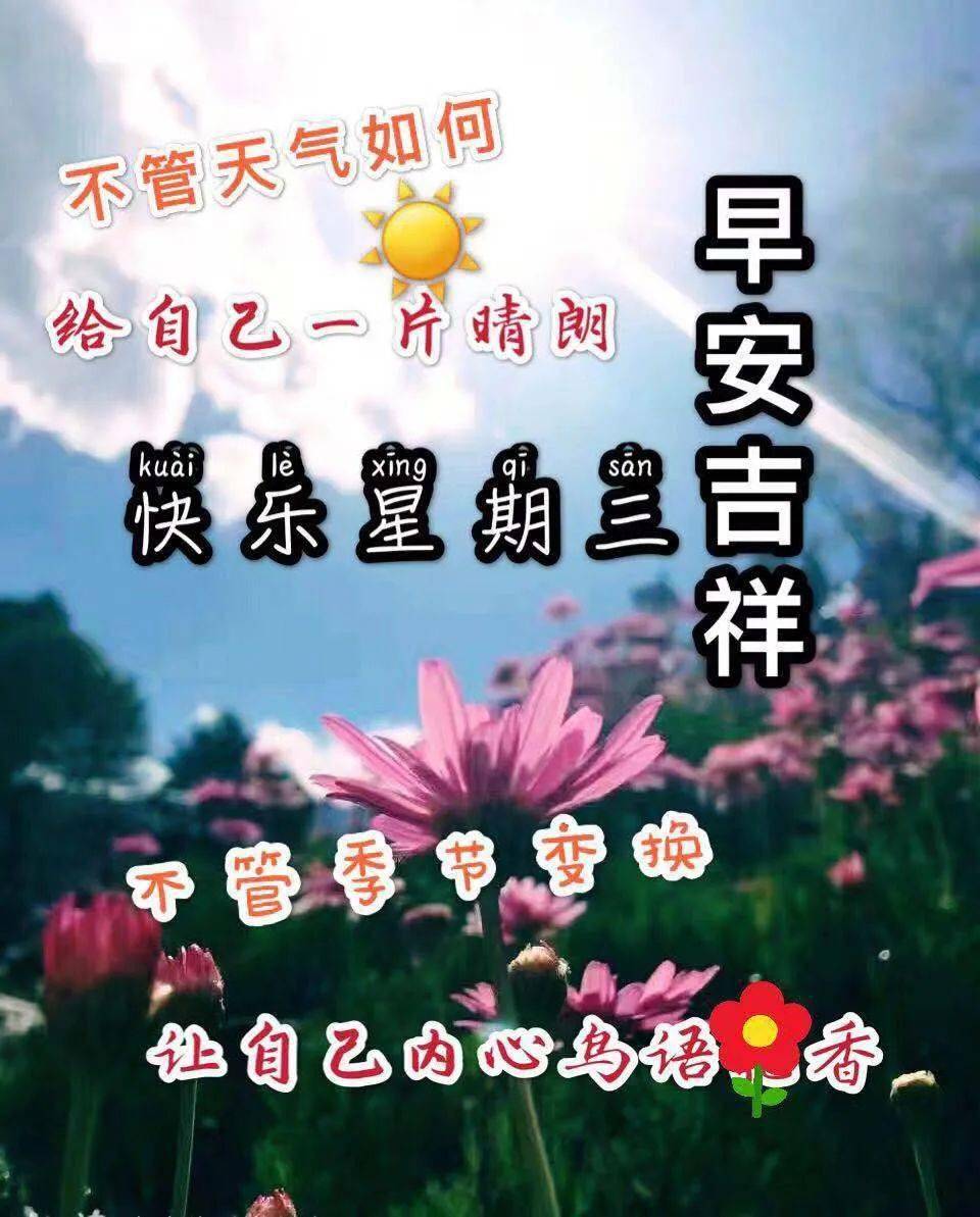 温馨的周三早上好祝福语表情图片带字 暖心的早安问候