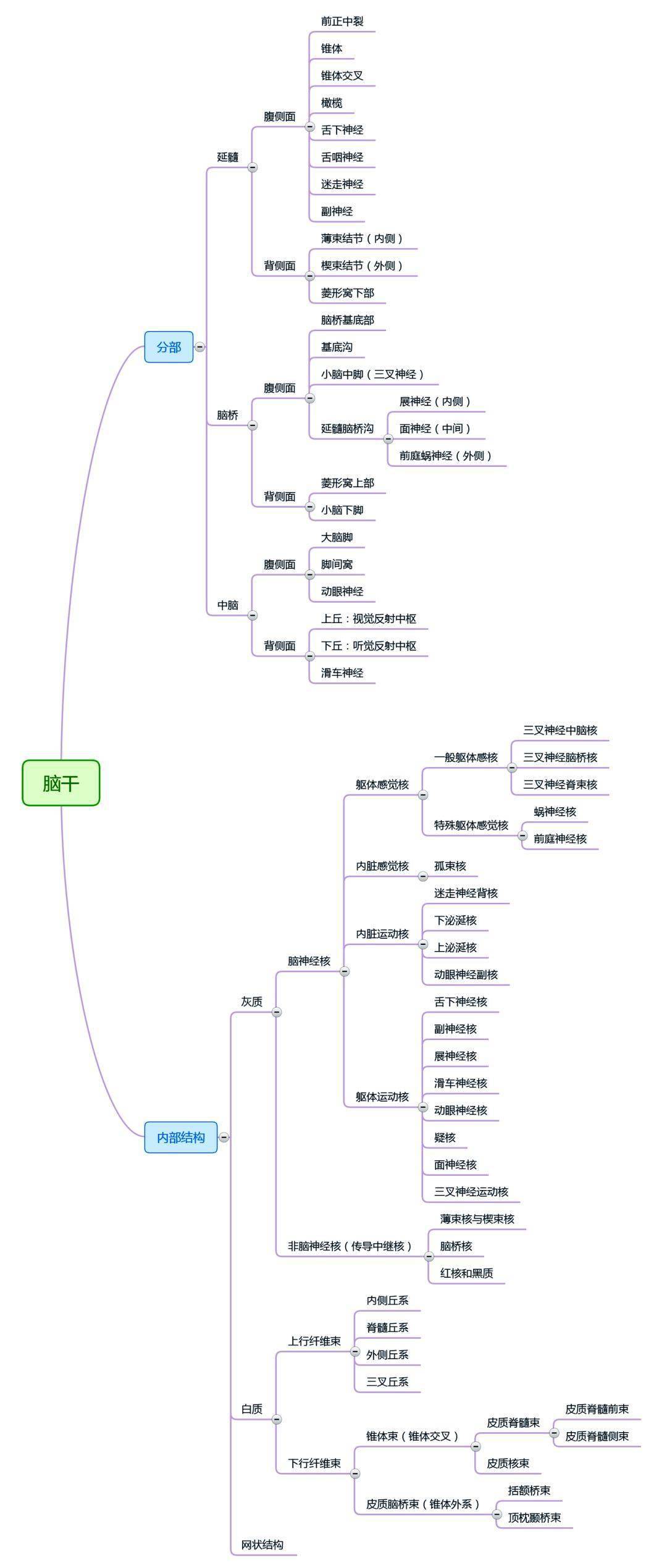 解剖学思维导图完整版【人手一份】