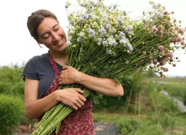 怎么种菜才能活 cf163491f41c49dd9c2e56923b3cf009.jpeg