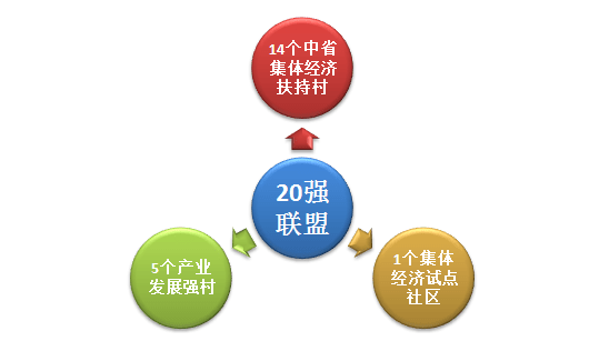 村级集体经济总量_村级集体经济展板