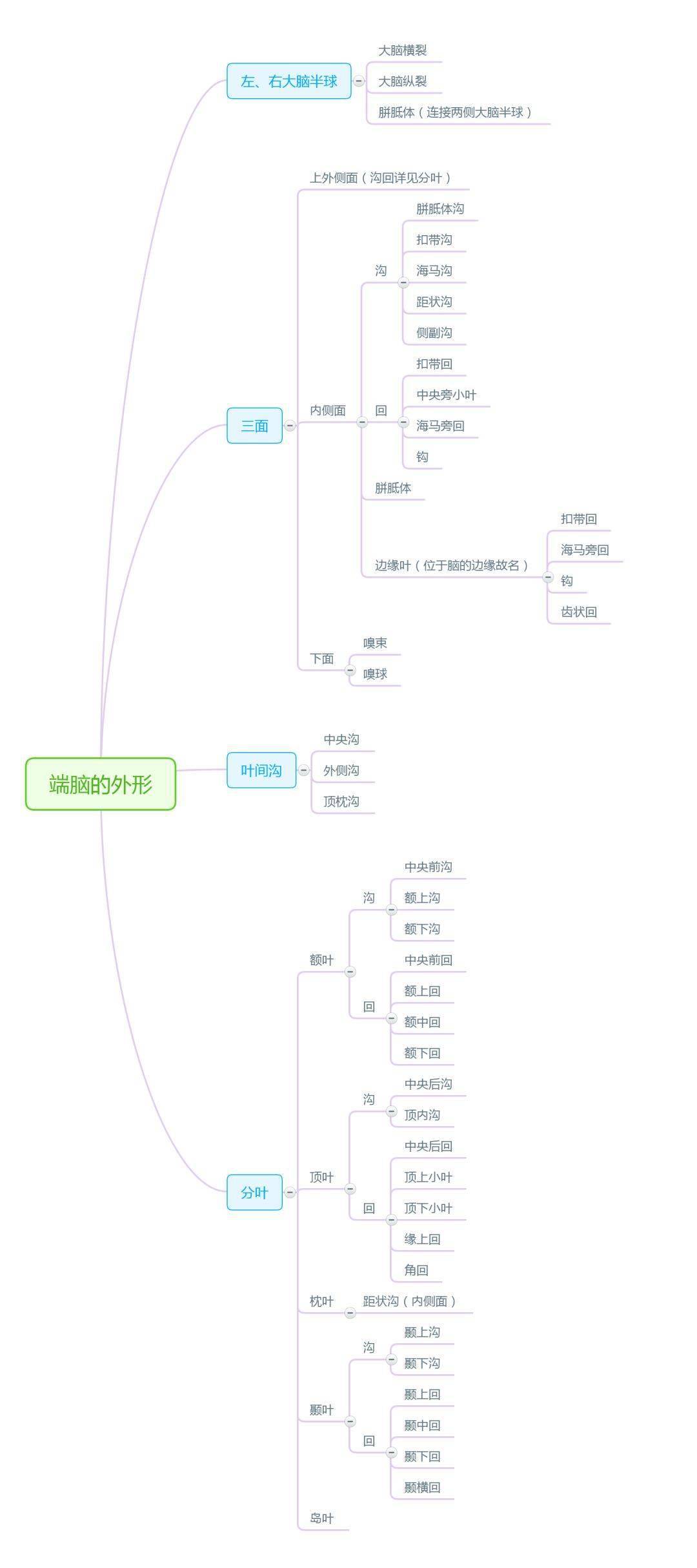 解剖学思维导图完整版人手一份