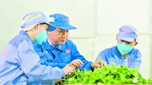 贵茶|你所不知道的贵州造丨国际市场上，贵州抹茶香