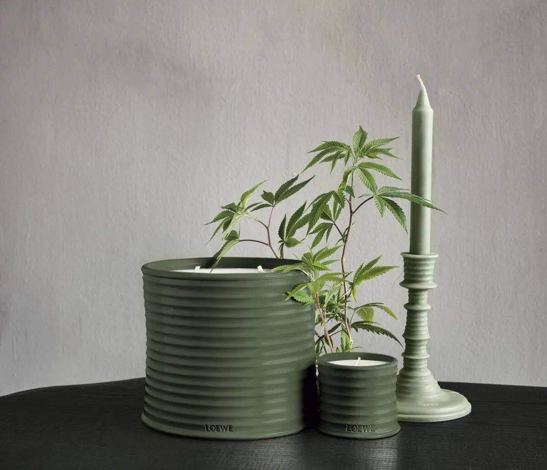 王一|香菜味的新品香水?怕是只有王一博会喜欢....