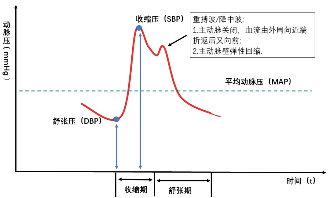 血压天天测,千万别忽视这个指标!_脉压