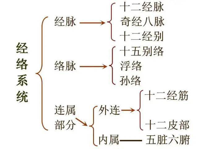 经络系统,由经脉,络脉,十二经筋和十二皮部所组成.