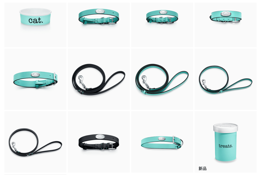 宠物|萌宠时尚｜毛孩子们时髦起来一点也不输主人！