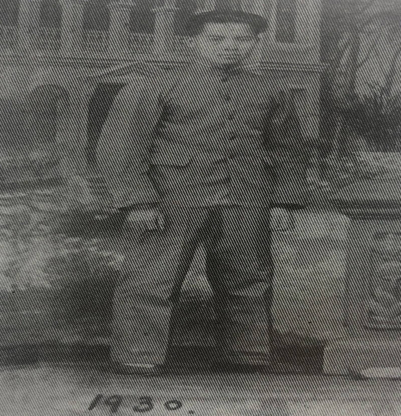 丛林|中缅边境往事③︱丛林里的语言学家