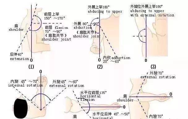 经典|肩,肘,腕关节查体要点,请收藏