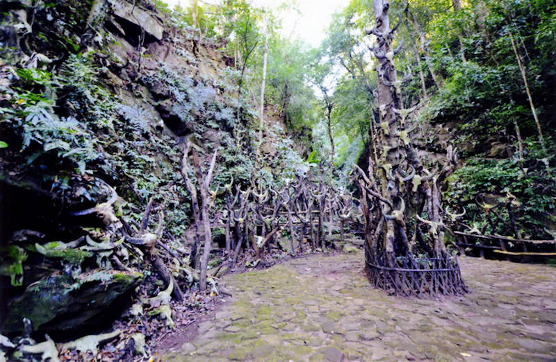 丛林|中缅边境往事③︱丛林里的语言学家