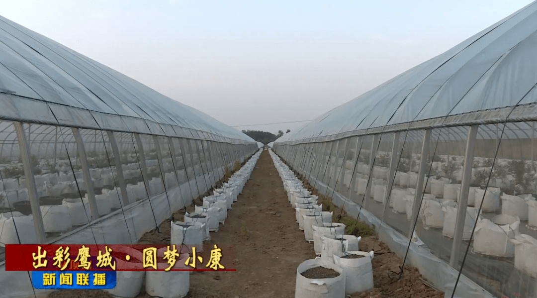 人均生活废水_生活废水图片(2)