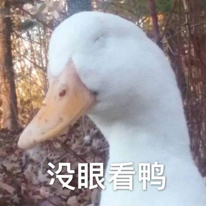 f2a3cd8a81434bcb8b75f1894346553d.jpeg