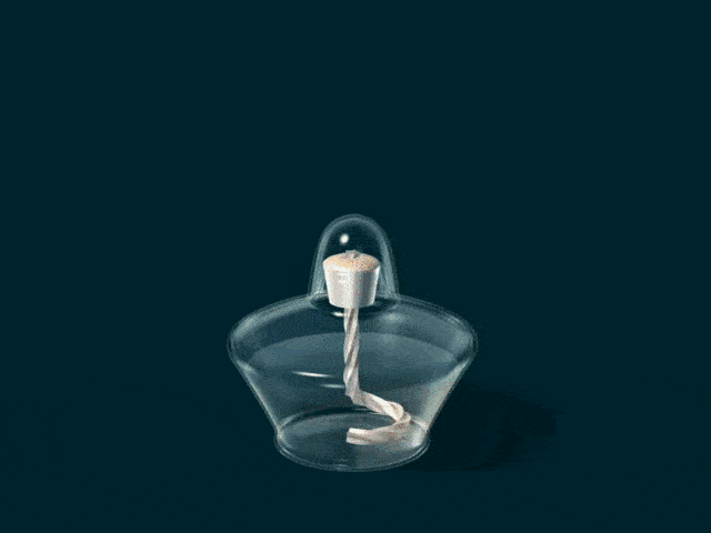 物理动图几张动图弄清八年级上册物理重难点附详细解析