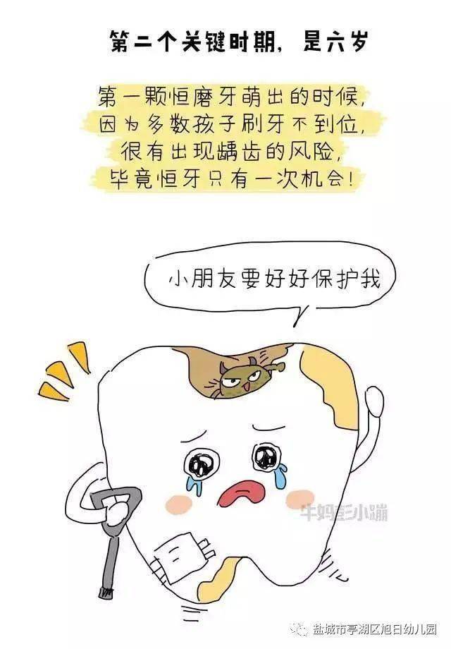 小孩牙齿涂氟多少时间一次 481e6a9ef75a4cdc9c225d8c543c6360.jpeg