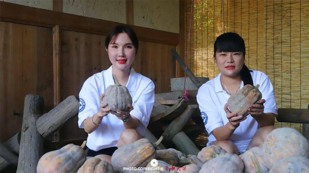 9月20日上午,大田县举办2020年中国农民丰收节系列活动——大田"晒秋