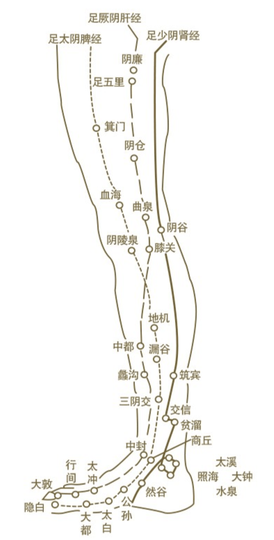 拍小腿祛寒的方法还可护肝强脾补肾67