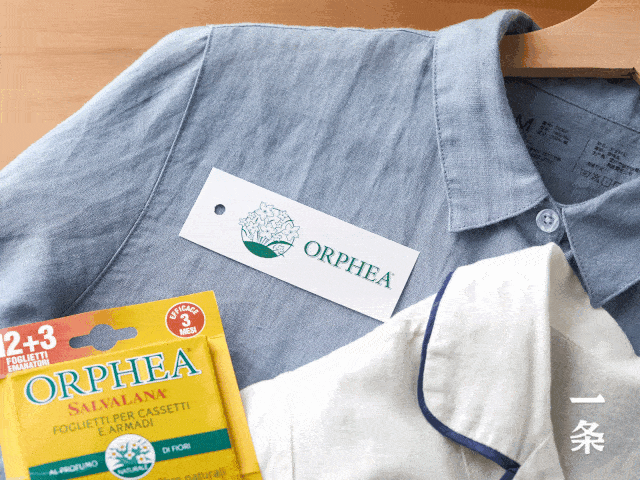 高手|这么香的小东西，竟然是除虫高手！？