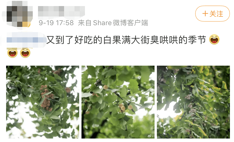 白果过敏了怎么办