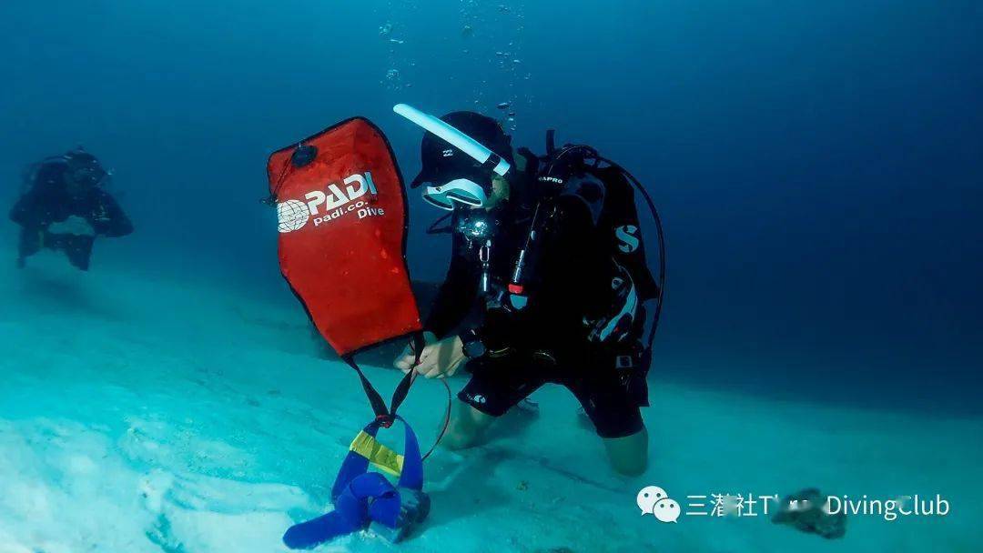 【技巧】你是象拔本本族吗?