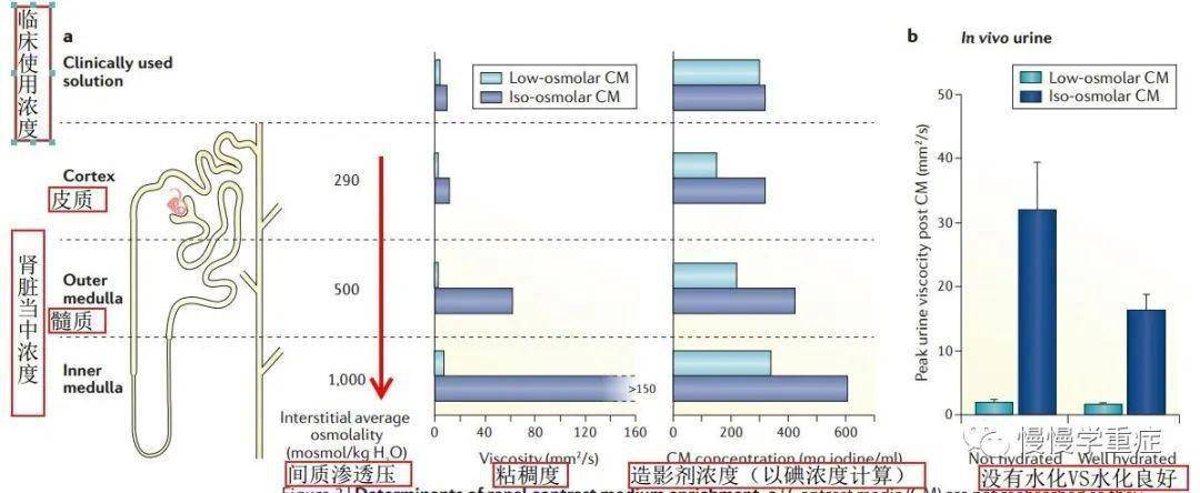 umol|简述：如何避免造影剂肾损伤