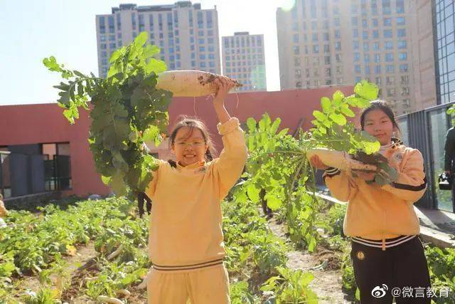 北京市|学校喊你来“种地”！让孩子走向田间地头