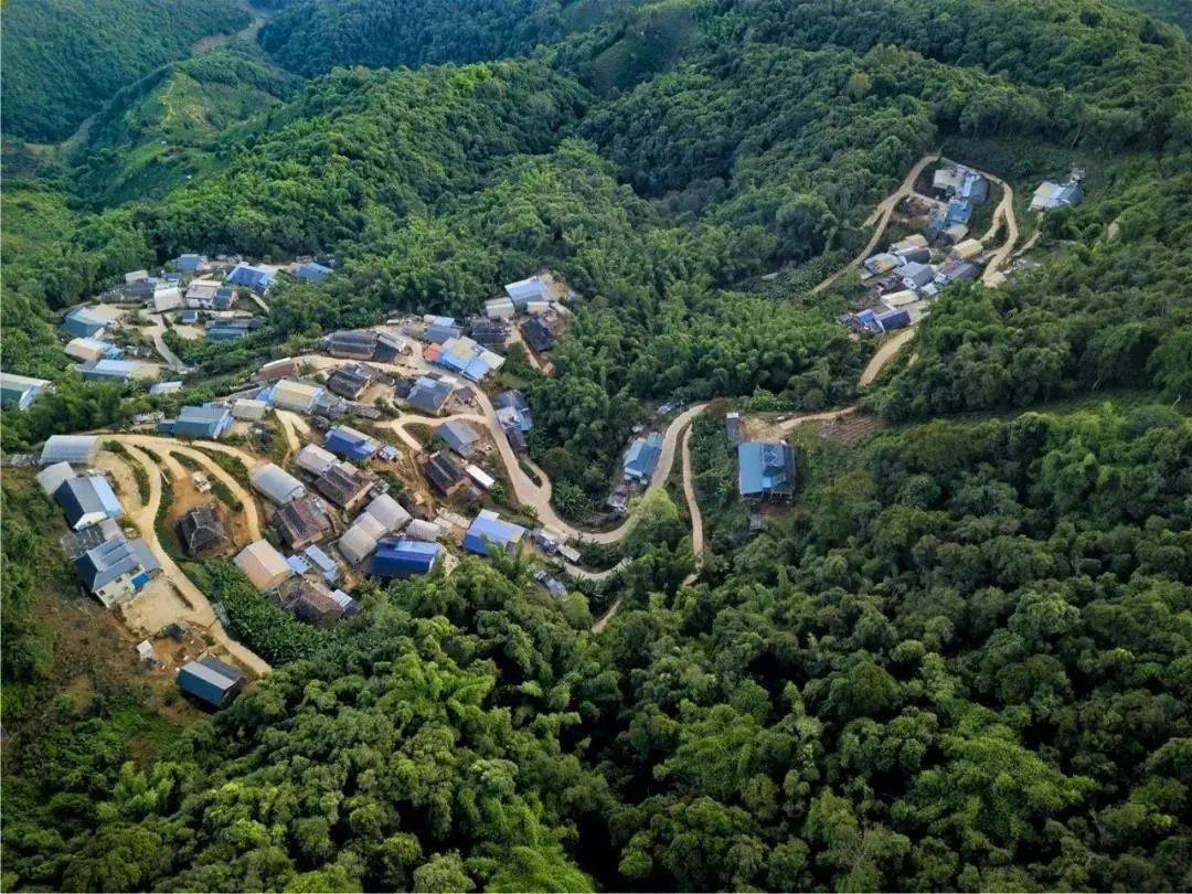 金秋时节,走进勐海县西定乡暖和村东暖新寨和桂花寨,整洁的水泥路绵延