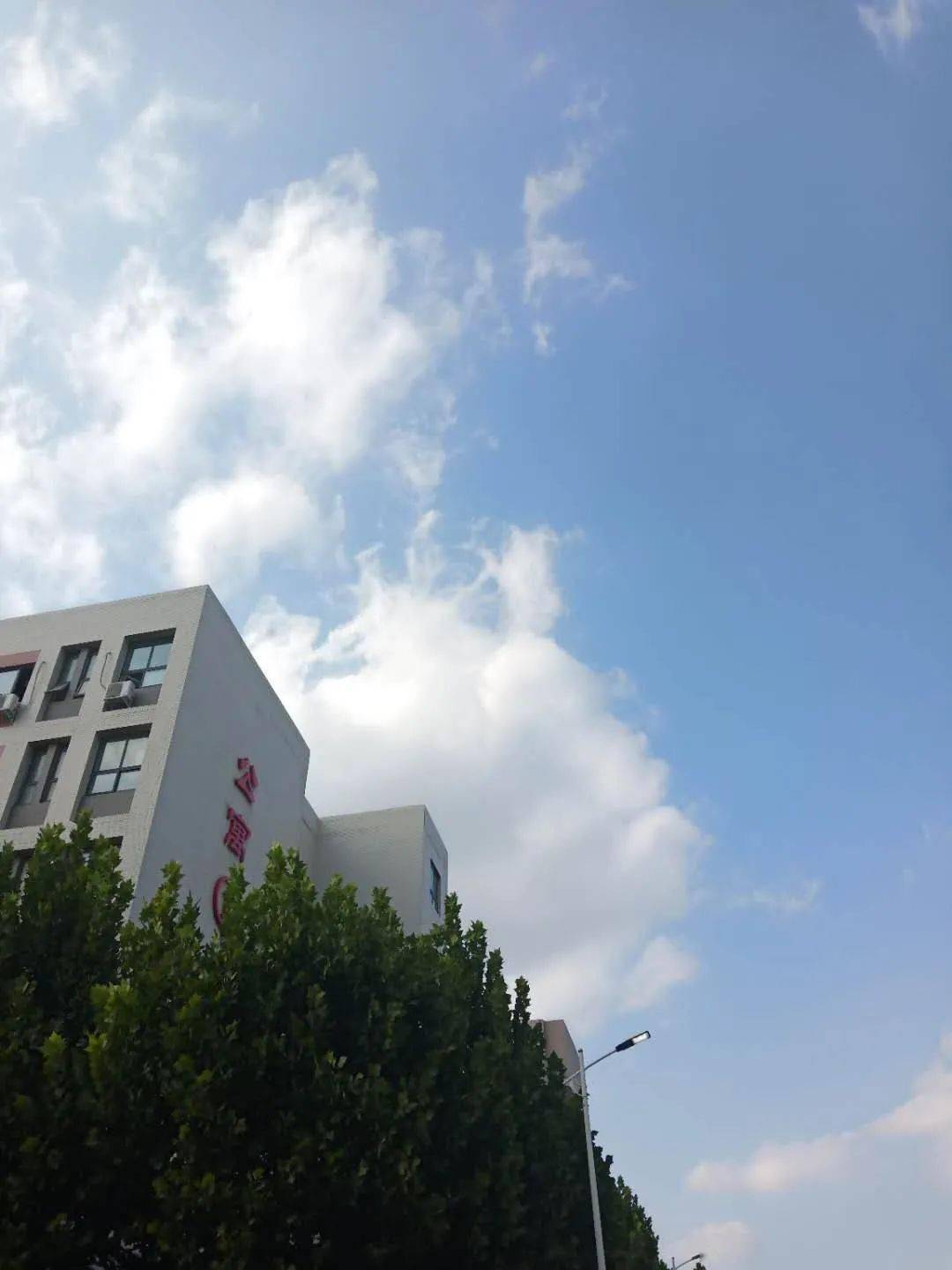 2020学中医专科学校_河南大学中医药研究院第一届学术委员会