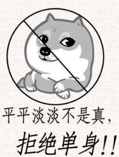 所以,今天一起来聊聊 如何在月圆之日脱单  必备秘籍: 2020南京 森林