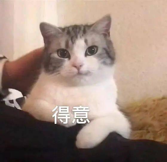 舅舅|9块9买一堆？！好吃又不胖的小零食